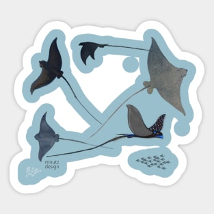 Eagle rays Sticker